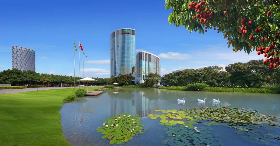 第五届世界佛教论坛在莆召开 三棵树助力又一世界级盛事