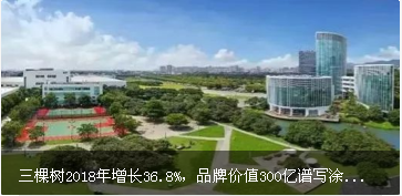 三棵树2018年增长36.8%,品牌价值300亿谱写涂装新时代