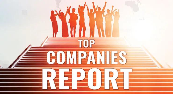 2021年度全球油漆和涂料生产排行榜,中国8家企业上榜