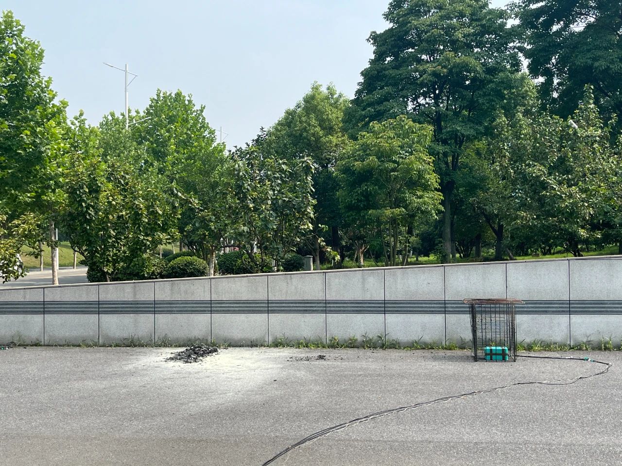 ʵشͻƣйƴоŶƳͻȼͿ