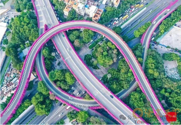 1762336531481740.png image.png