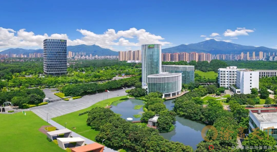 1770169054300964.png image.png